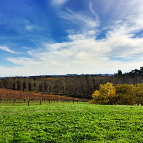 Tarrawarra is a stunning combination of award winning winery, mouth watering culinary food, world class gallery & "heaven on earth" views of picturesque hills and valleys and country surroundings!