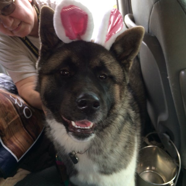 PetSmart Pet Supplies Store in Downtown Escondido
