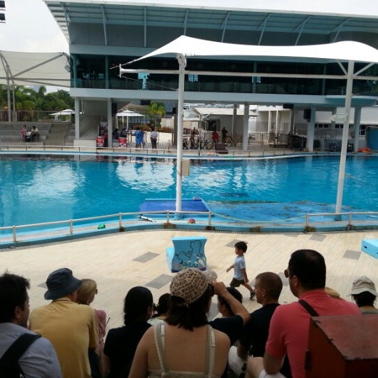 Photo taken at Underwater World And Dolphin Lagoon by Mong M. on 11/8/2012