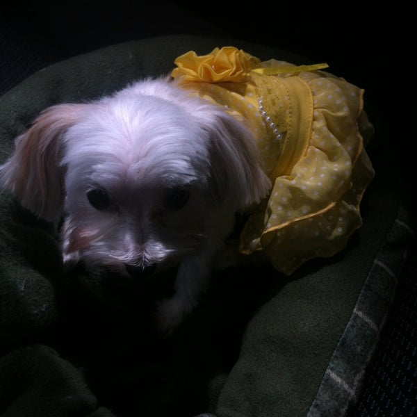 Photos at Petco Lynnwood, WA