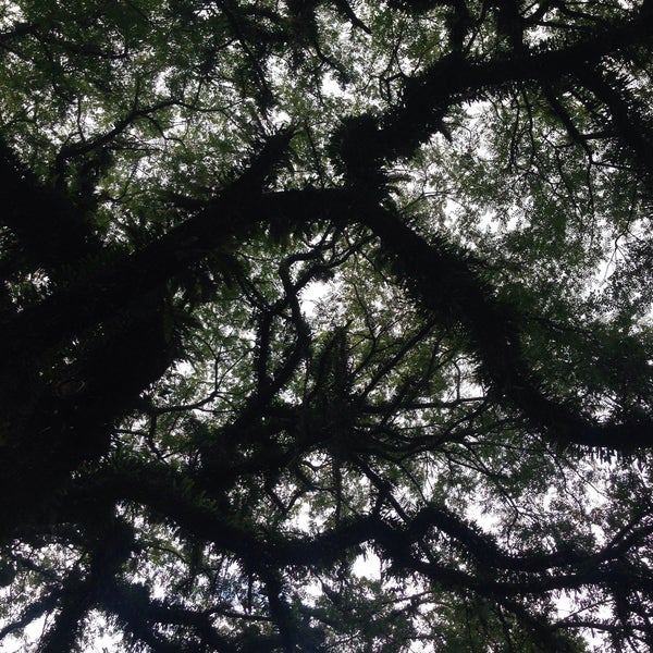 Foto scattata a Parque Ibirapuera da Ana R. il 3/5/2016