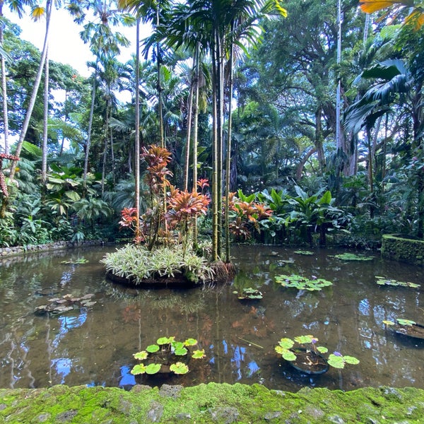 Снимок сделан в Hawaii Tropical Botanical Garden пользователем Mayank M. 12/27/2019