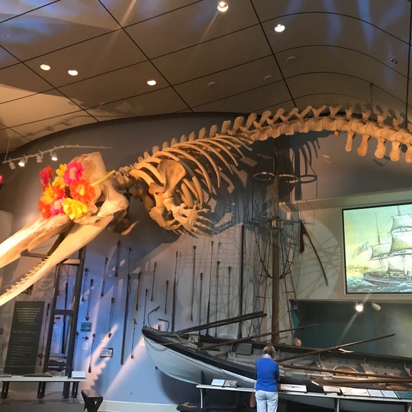 รูปภาพถ่ายที่ The Whaling Museum โดย Rafique J. เมื่อ 4/29/2018