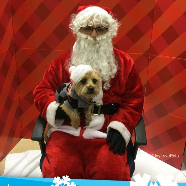 Petco Pet Supplies Store in West Covina