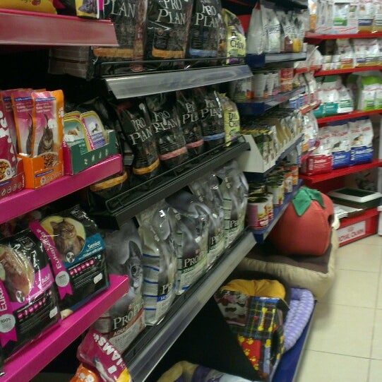 рыжий хвост зоомагазин