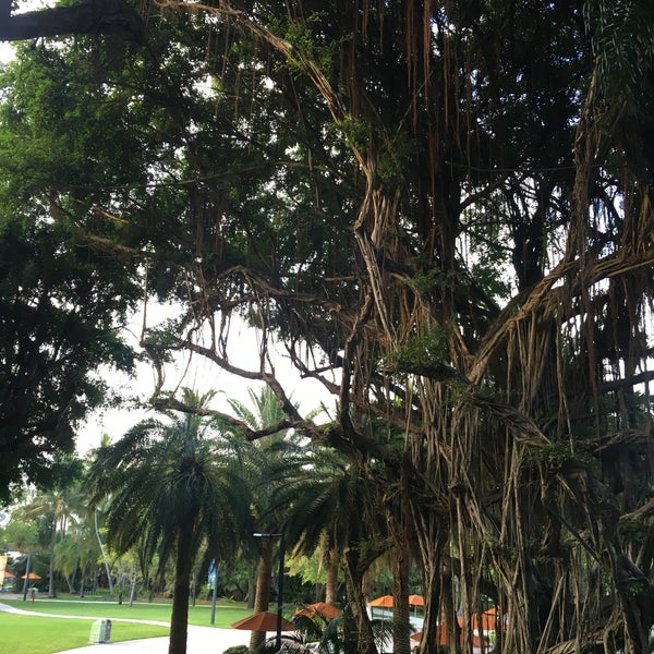 Solomon G. Merrick Building (Now Closed) - University of Miami - 5202 ...