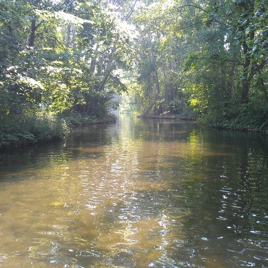 Paddle Boats Julia Davis Park Lake in Boise