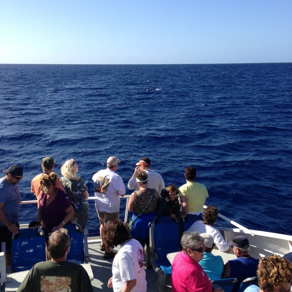 Foto diambil di Ultimate Whale Watch oleh Josh . pada 2/3/2013
