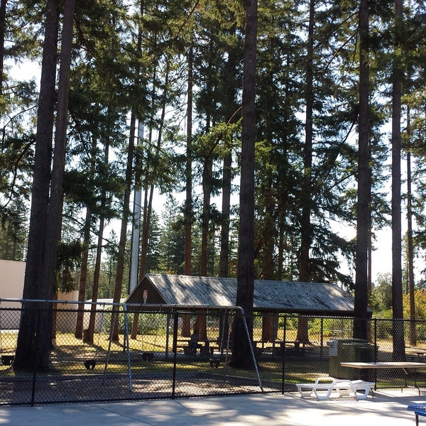 Community Pool Swimming Pool in