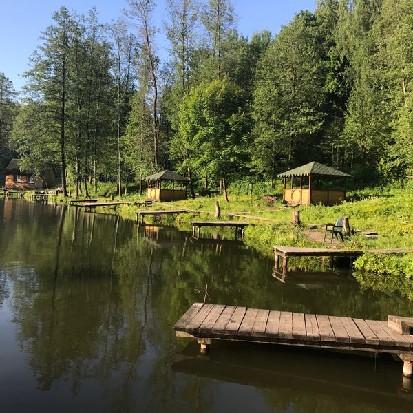 Рыбалка лесопарк