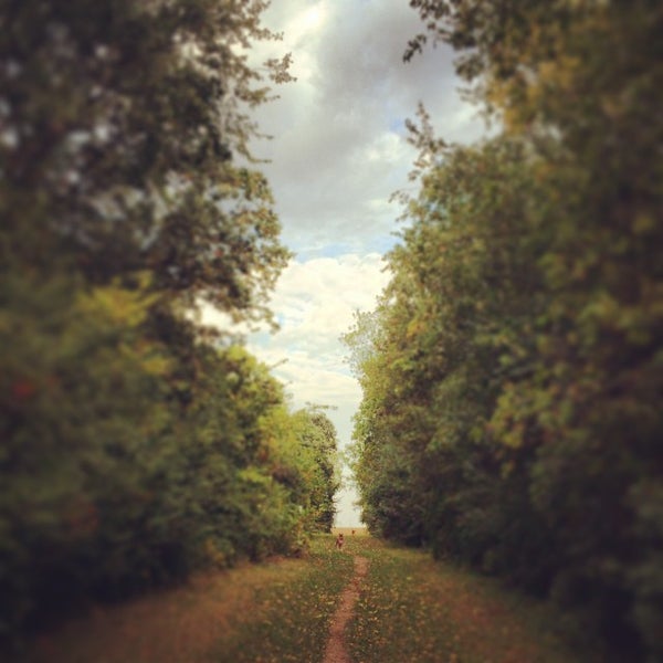 Dale Road Dog Park Saint Paul, MN