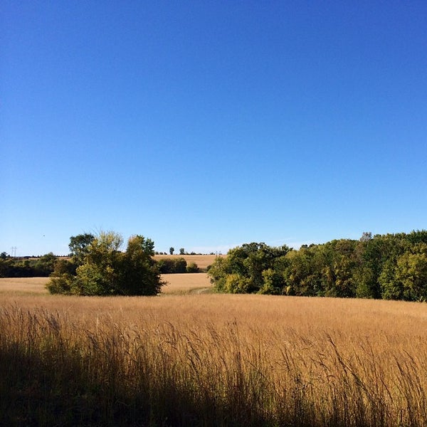 Dale Road Dog Park Saint Paul, MN