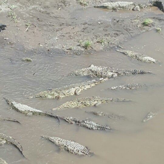 Photo taken at Jungle Crocodile Safari by Lilith A. on 7/4/2015
