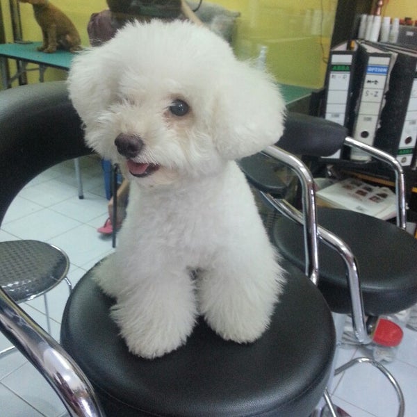Little Pawz Air Putih B 540