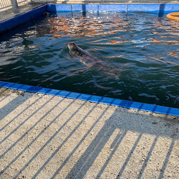 Photos At アザラシシーパラダイス 1 Tip