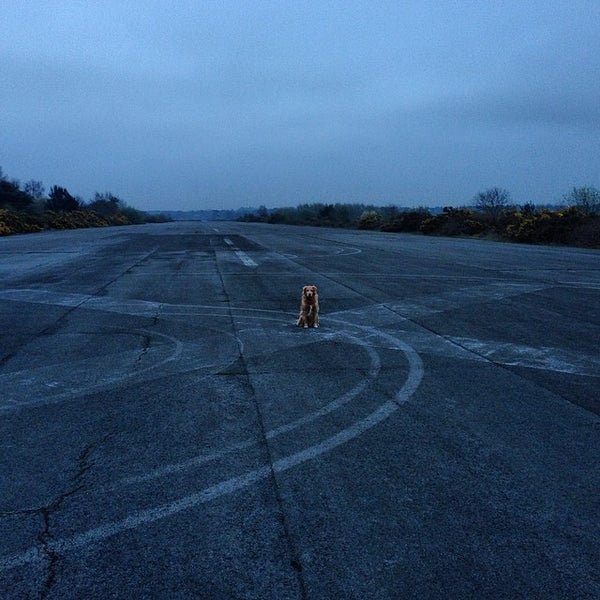 4/4/2014 tarihinde Richard C.ziyaretçi tarafından Blackbushe Airport'de çekilen fotoğraf