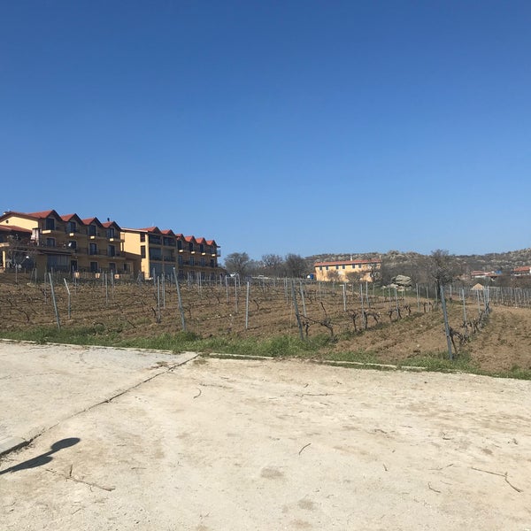Foto diambil di Vino Dessera Vineyards oleh Esra Y. pada 3/27/2021