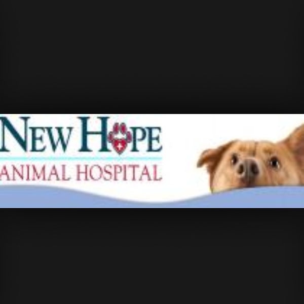 Das Foto wurde bei New Hope Animal Hospital von Missy R. am 8/19/2013 aufgenommen