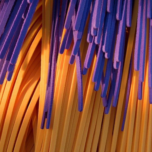 Stadium Wash and Detail Car Wash and Detail in Mastic