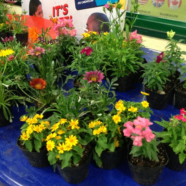 Stewarts Hardware 48 visitors