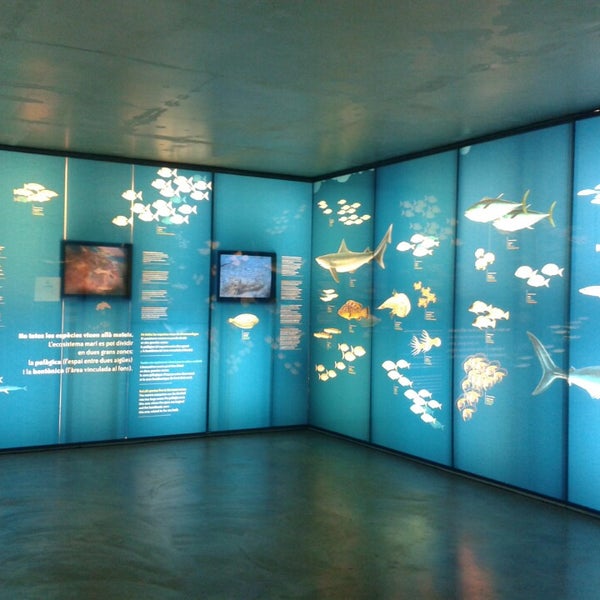 Foto diambil di Museu de la Pesca oleh Alfons G. pada 12/11/2013