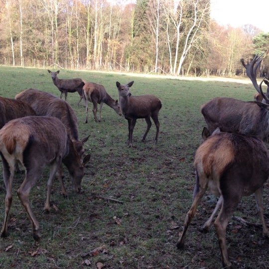 Waldau Venusberg An Der Waldau