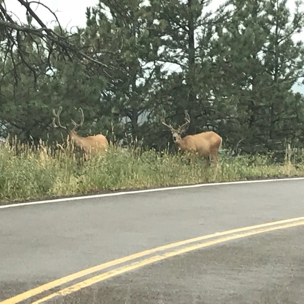 Das Foto wurde bei Lookout Mountain Nature Center von ᴡ y. am 7/24/2018 aufgenommen
