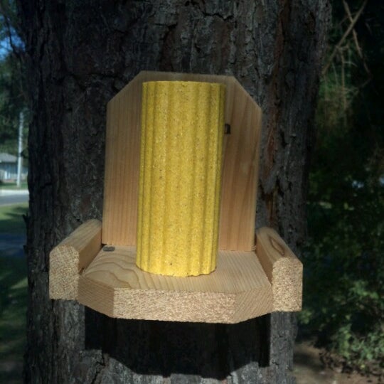 Horn's Northern Neck Ace Hardware Store