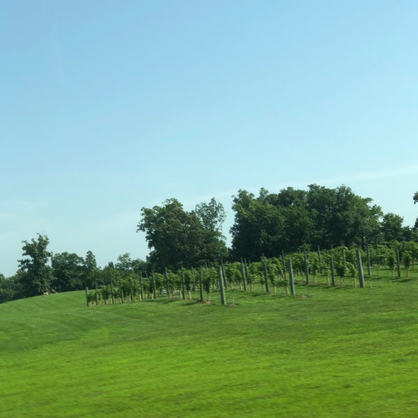 Walker's Bluff 6 tips from 498 visitors