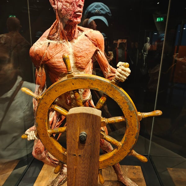 Photo taken at Body Worlds by Mohith M. on 8/27/2022