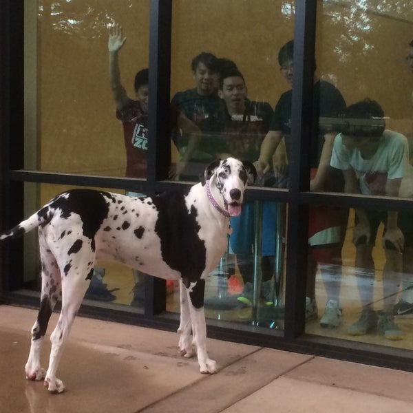 Stanford Squash Courts Squash Court in Stanford