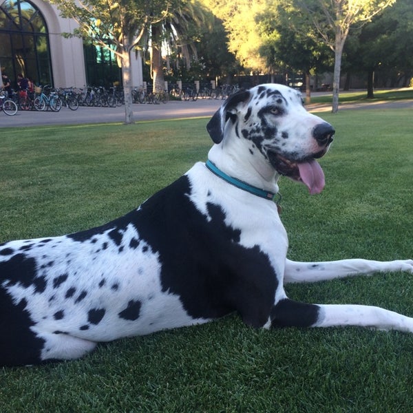 Stanford Squash Courts Squash Court in Stanford