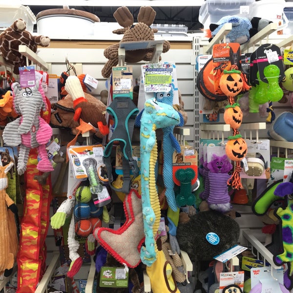 dog toys tj maxx