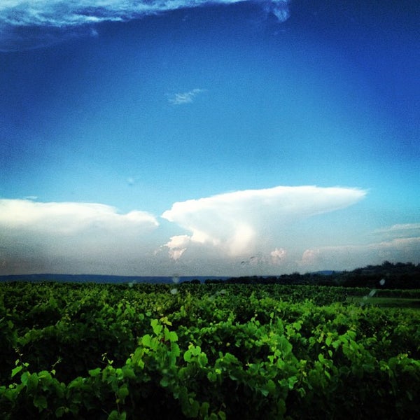 Photo taken at Chaumette Vineyards &amp; Winery by Tim S. on 7/6/2013