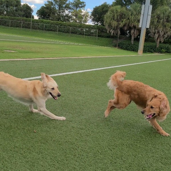 Photos at Weston Regional Park Saddle Club Rd.