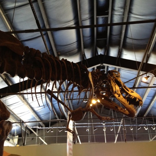 rocky mountain dinosaur museum