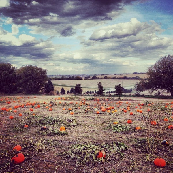 Photo taken at Vala&#39;s Pumpkin Patch &amp; Apple Orchard by Amanda S. on 10/21/2013