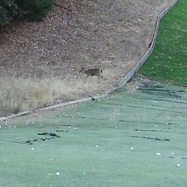 Photo taken at Tilden Park Golf Course by Jason W. on 8/2/2013