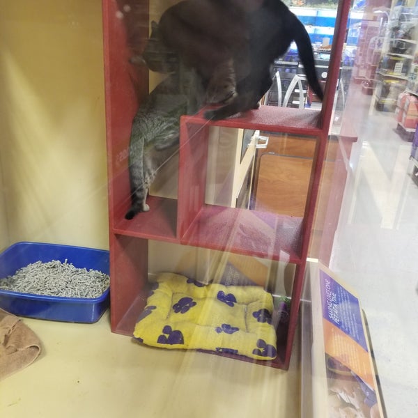 PetSmart 3 tips from 672 visitors