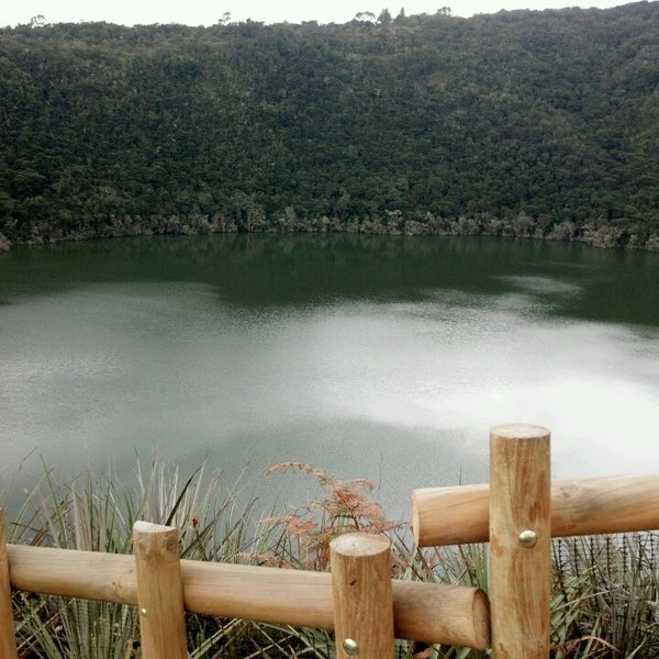 Top Of The Lake Donde Verla