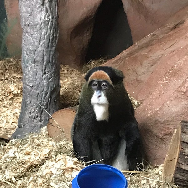 Playground Capron Park Attleboro, MA