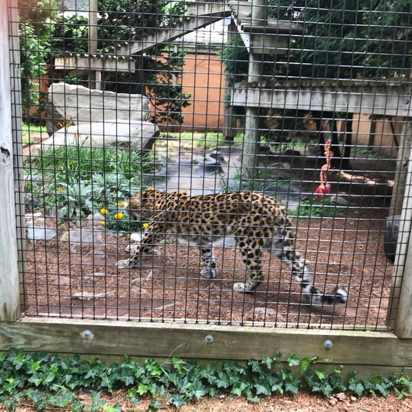 Playground Capron Park Attleboro, MA