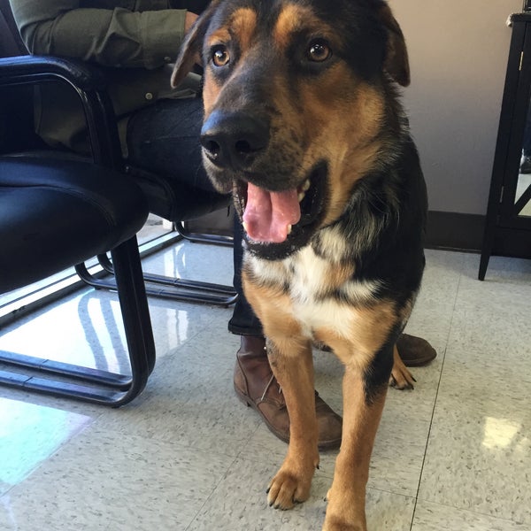 Vca a breed hot sale apart animal hospital