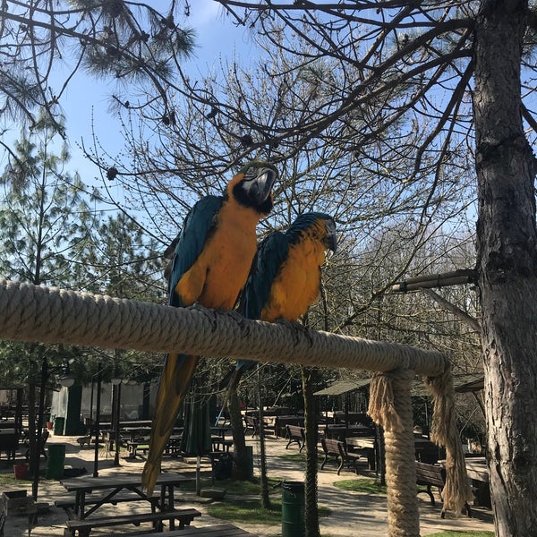 Photo taken at Polonezköy Zoo Country Club by Kemal on 3/9/2020