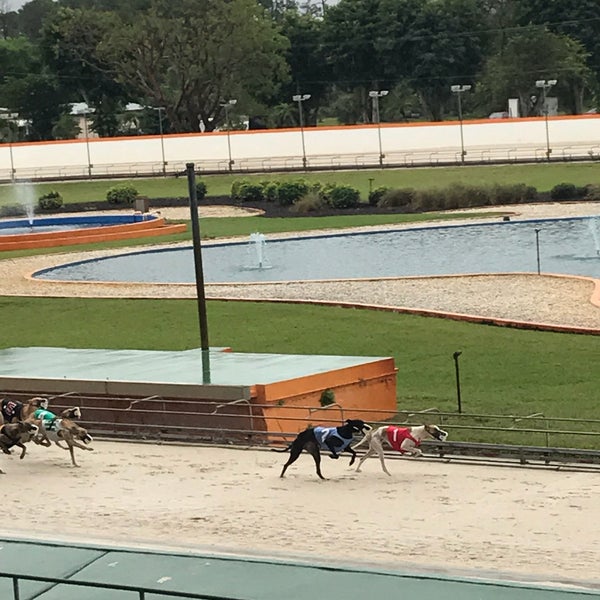 NaplesFort Myers Greyhound Racing and Poker Race Track in Bonita Springs