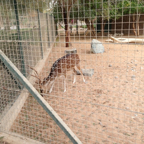 Photos at Al Ain Zoo & Aquarium Al Ain