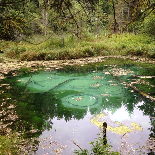 Blue Springs of Saula