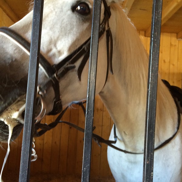 รูปภาพถ่ายที่ КСК Western Horse โดย Olga K. เมื่อ 9/12/2015