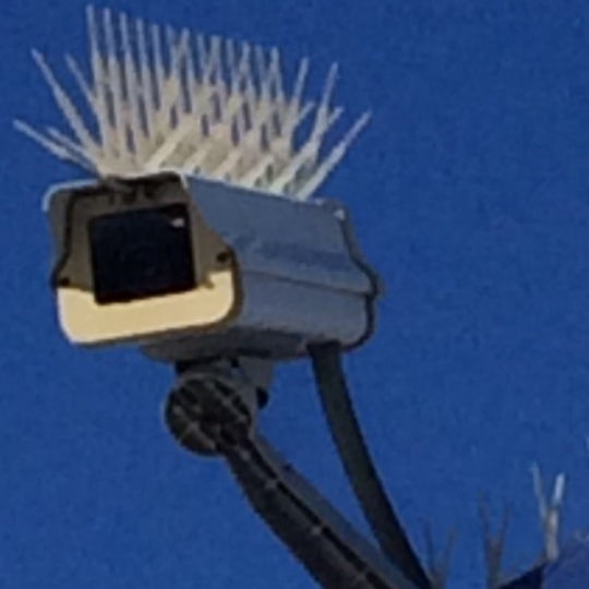 Photos at Vista Palms Car Wash Central Chula Vista 8 tips