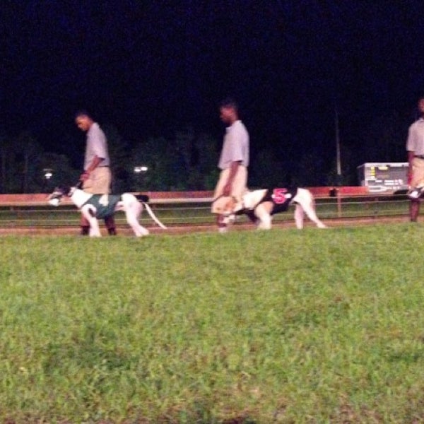 Photos At Pensacola Greyhound Track Racetrack In Pensacola